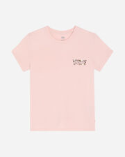 Small batwing flower w - Rosa