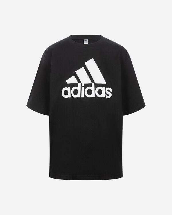 Big logo w