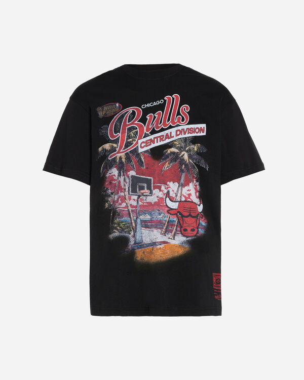 Paradiso oversized bulls 