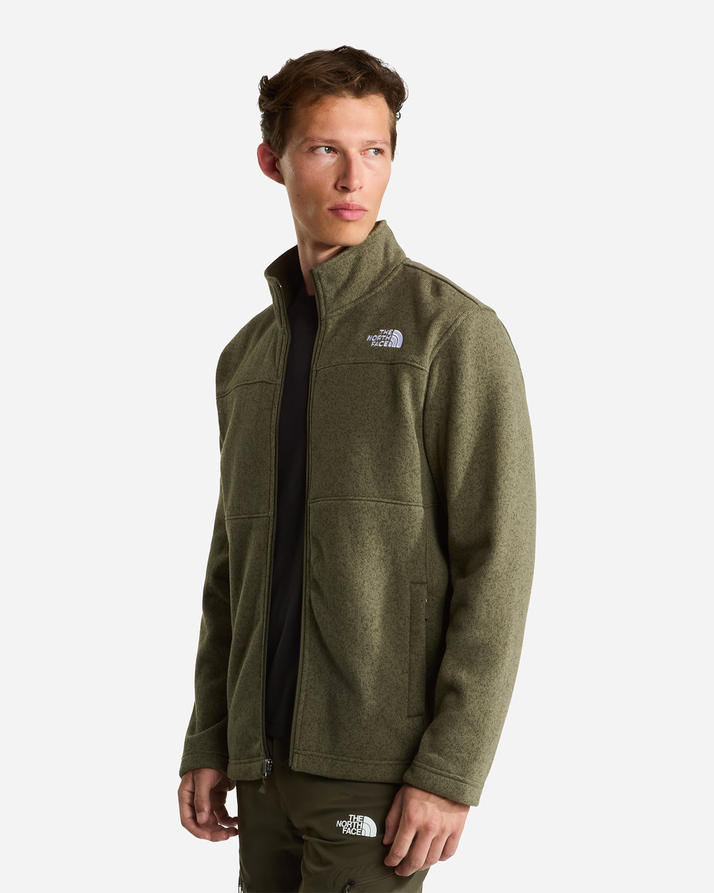 Pile THE NORTH FACE GORDON LYONS M - Verde - 3 | Cisalfa Sport