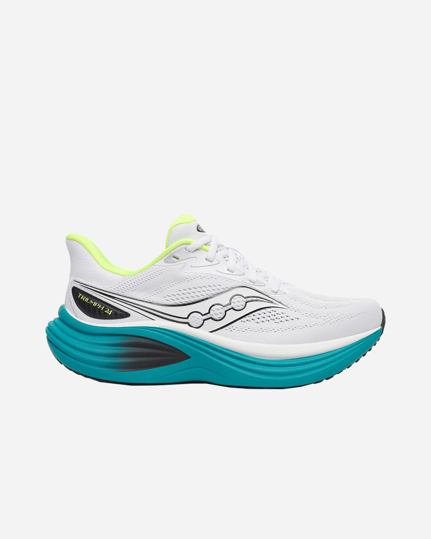 TRIUMPH 24 M