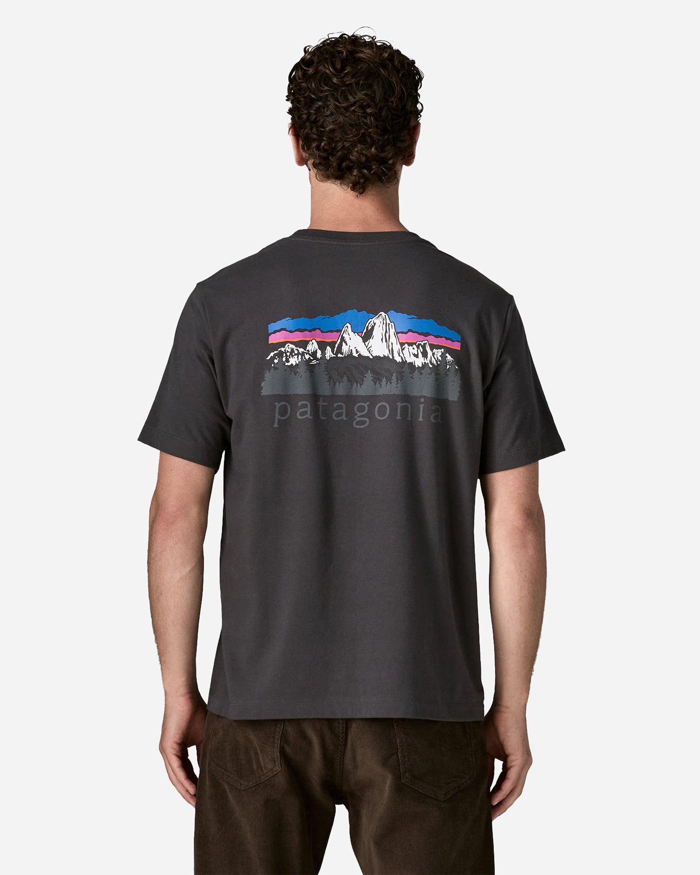 T-shirt PATAGONIA FITZ ROY FOOTHILLS M - Nero - 2 | Cisalfa Sport