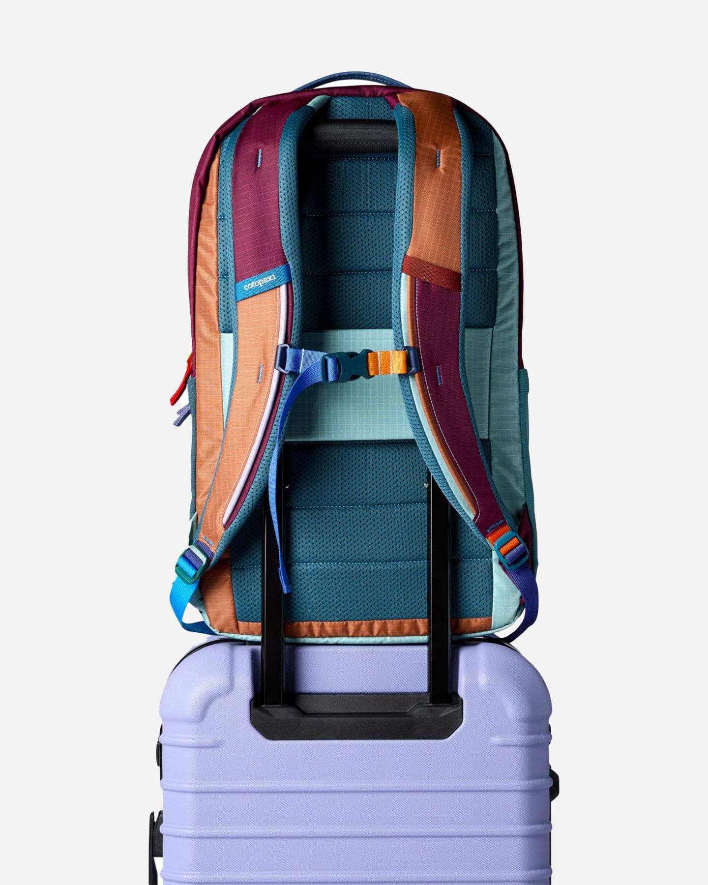 Zaino COTOPAXI ALLPA 26L  - Color mix - 4 | Cisalfa Sport
