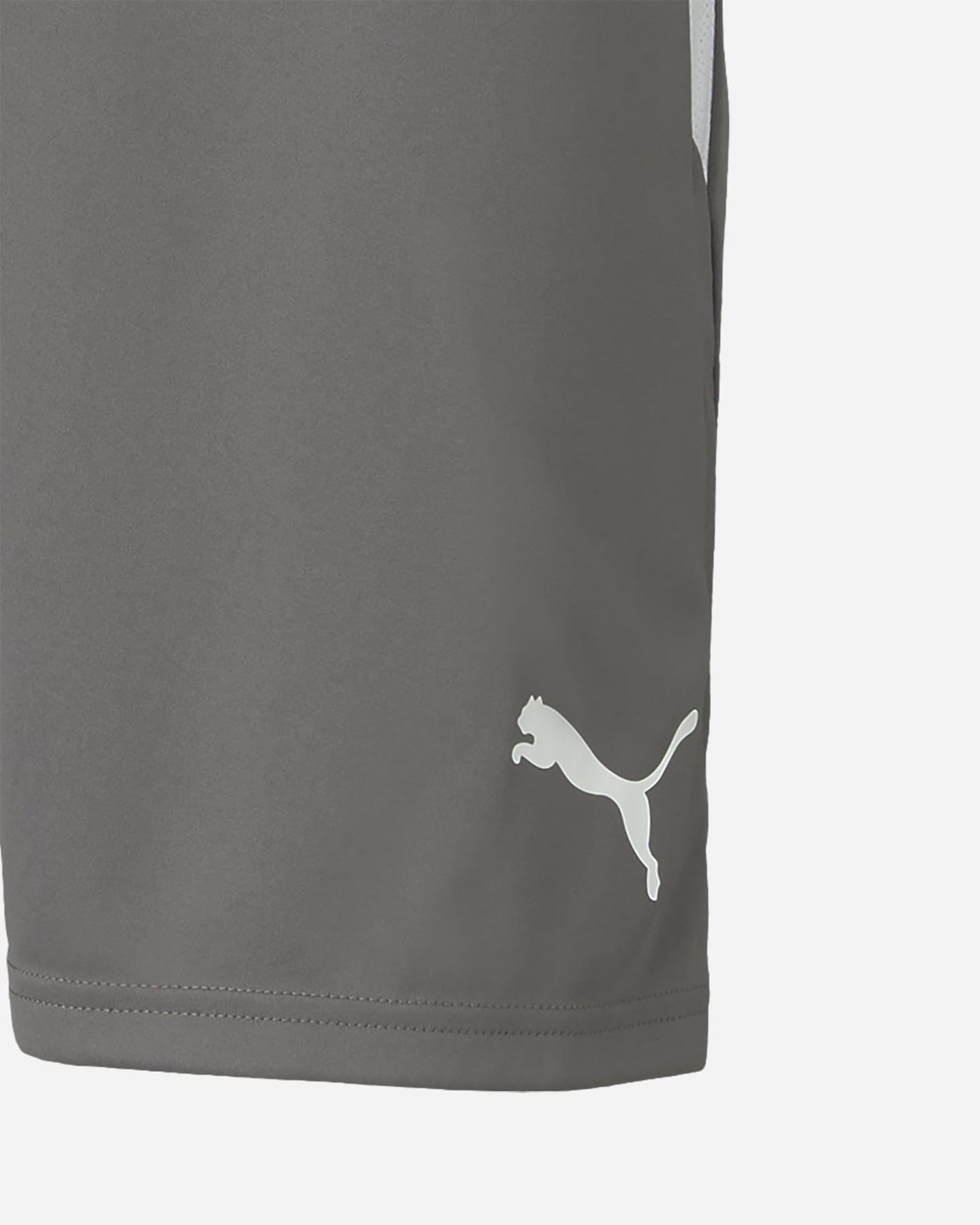 Pantaloncini PUMA LIGA M - Grigio - 2 | Cisalfa Sport