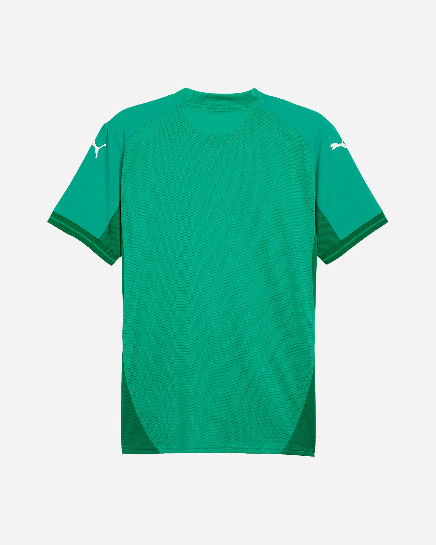Maglia calcio PUMA TEAMFINAL M - Verde - 1 | Cisalfa Sport