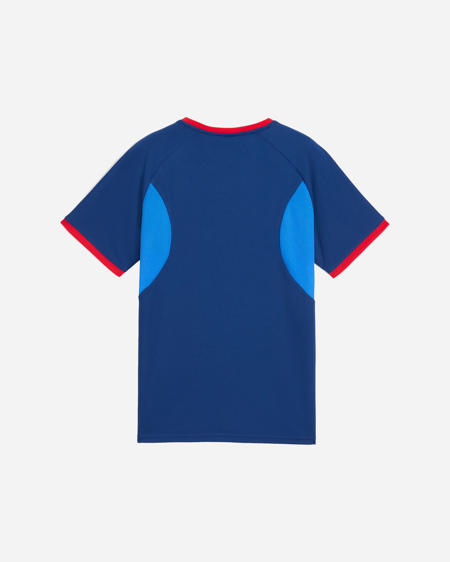 Maglia calcio PUMA NEYMAR JR PLAYMAKER JR - Color mix - 1 | Cisalfa Sport