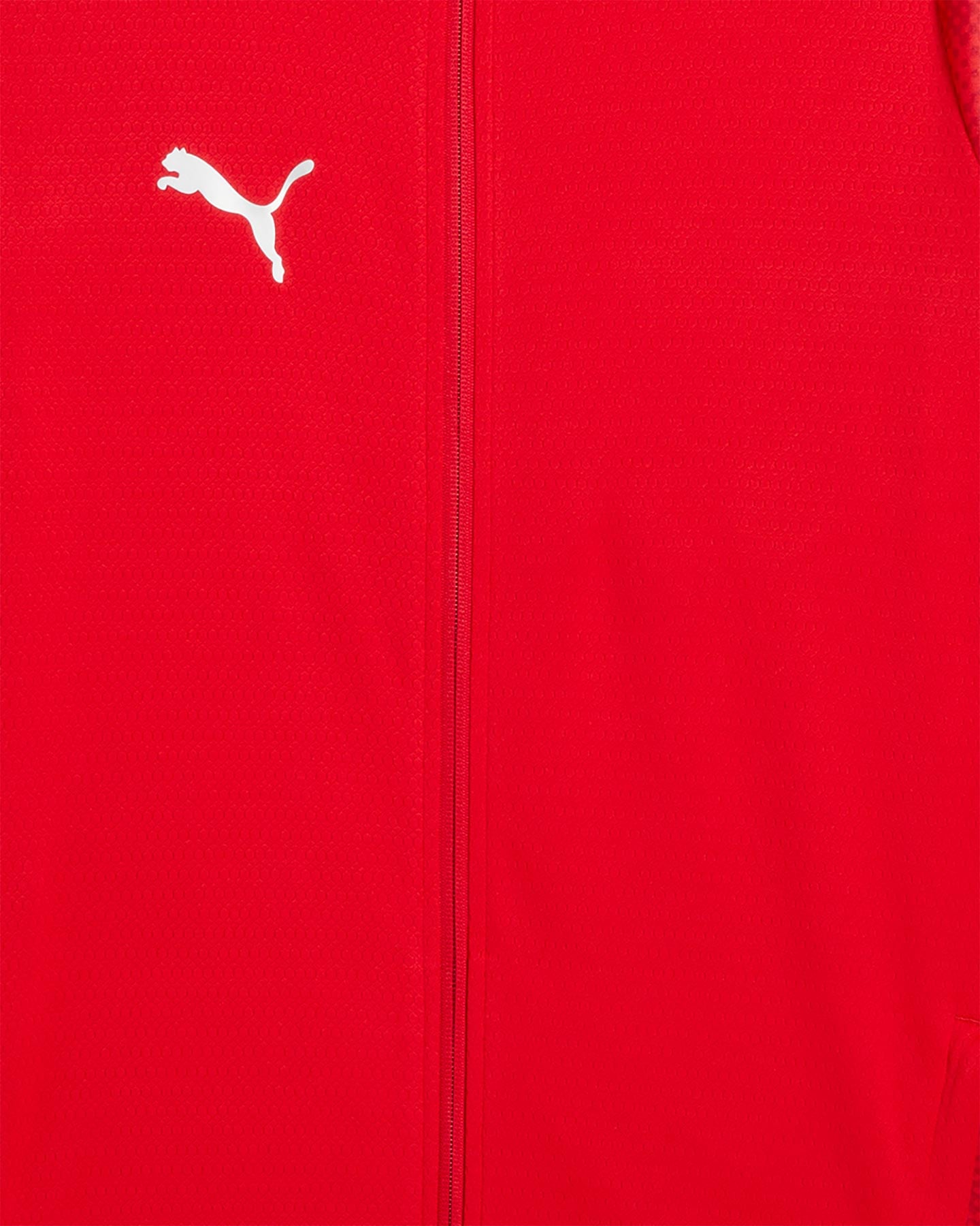 Giacca PUMA TEAMCUP M - Rosso - 2 | Cisalfa Sport