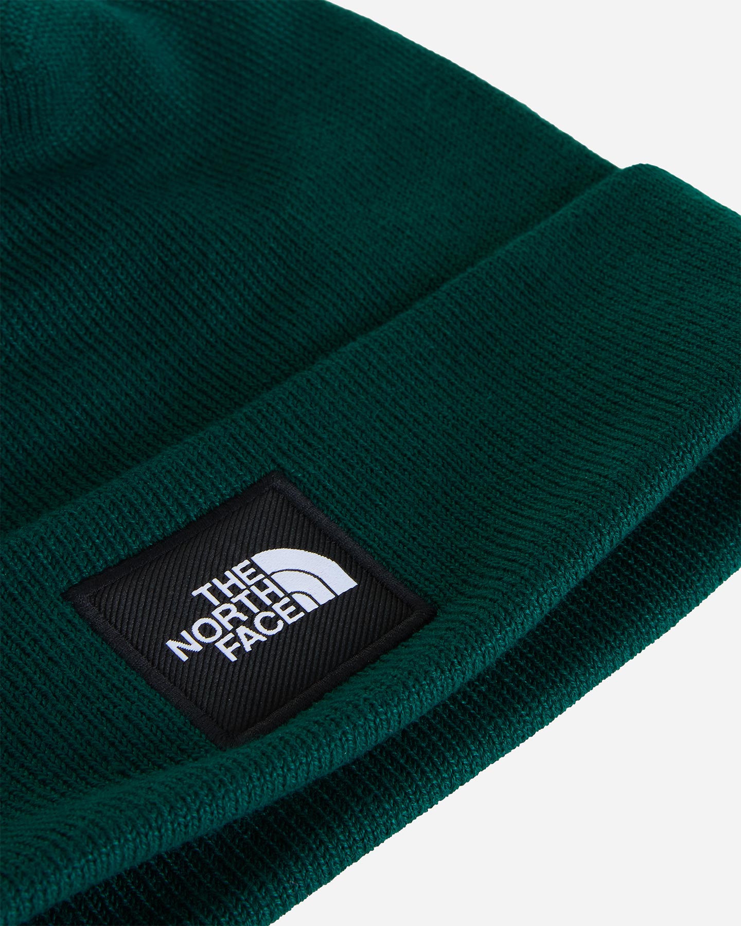 Berretto THE NORTH FACE DOCK WORKER  - Verde - 2 | Cisalfa Sport