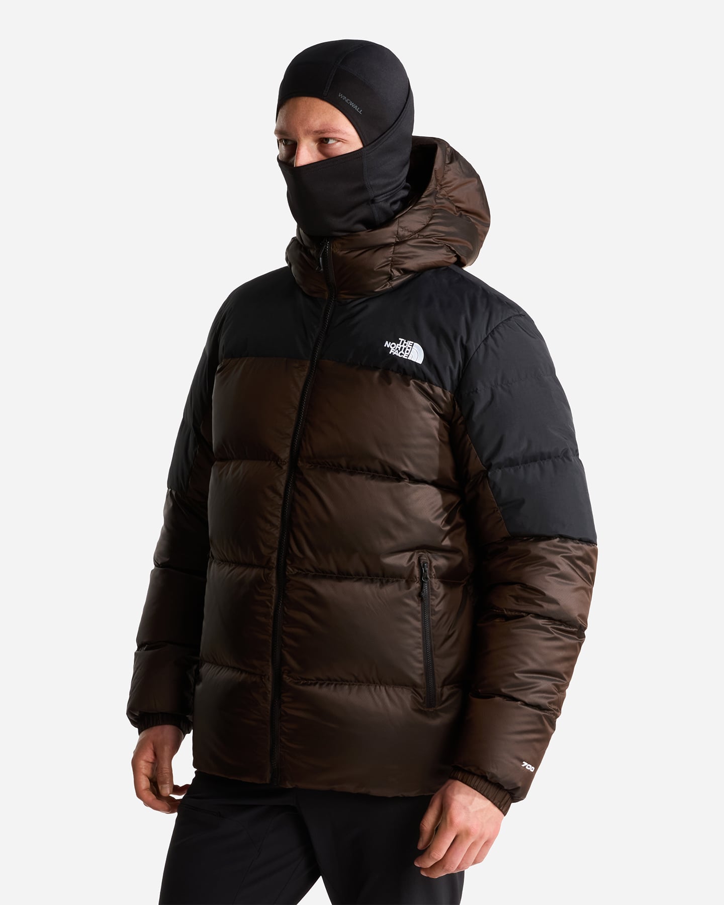 Piumino THE NORTH FACE DIABLO 2.0 M - Marrone - 2 | Cisalfa Sport