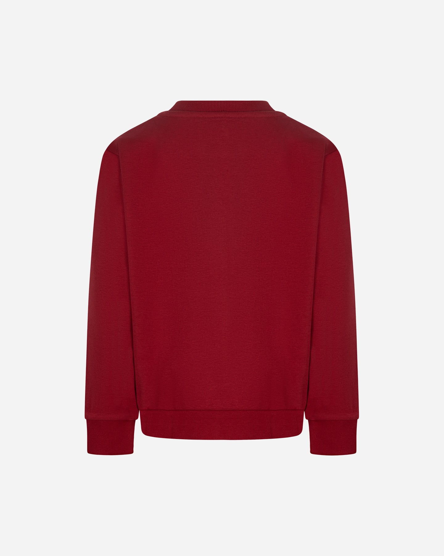 Felpa ARENA ATHLETIC ESSENTIAL JR - Rosso - 1 | Cisalfa Sport