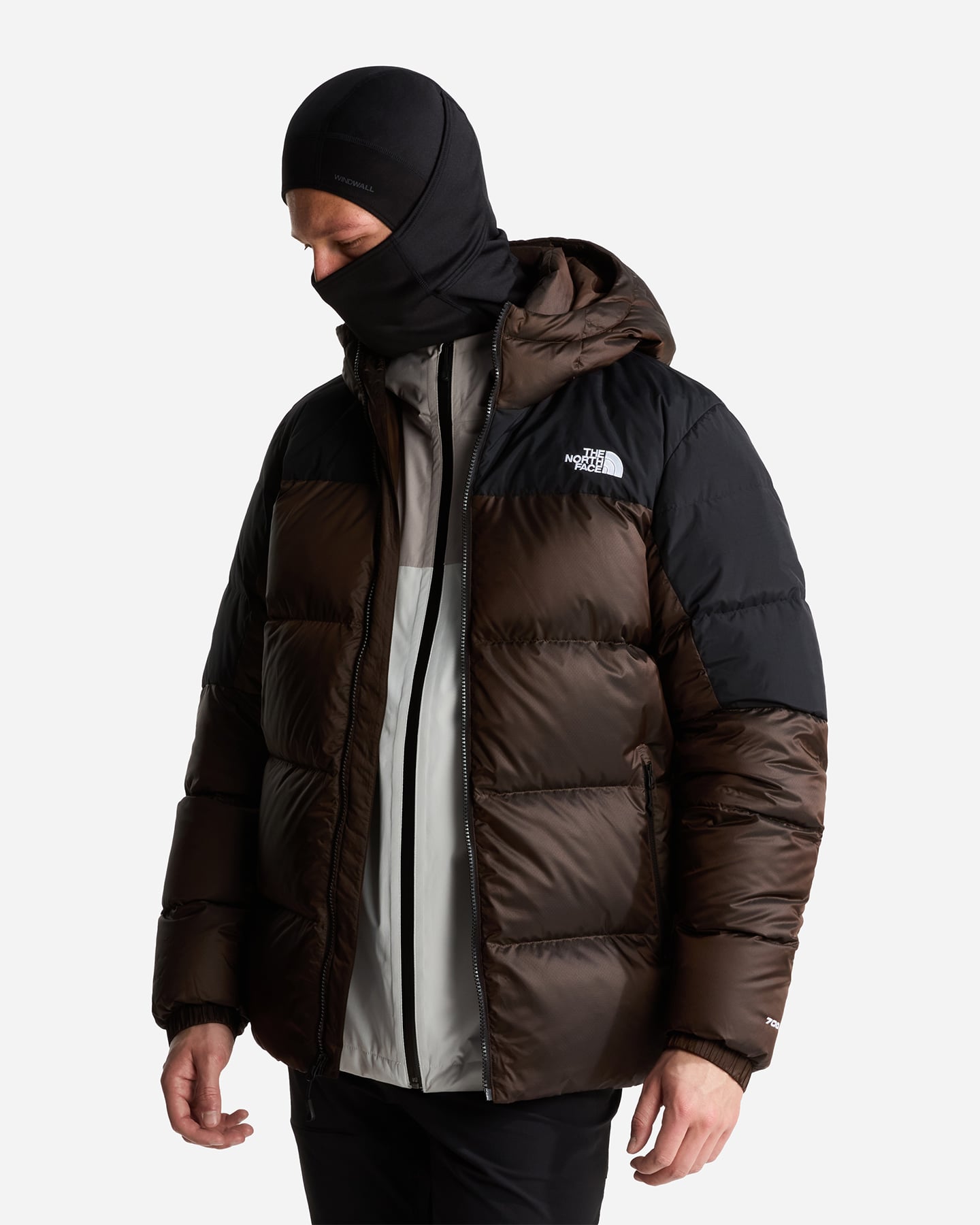 Piumino THE NORTH FACE DIABLO 2.0 M - Marrone - 3 | Cisalfa Sport