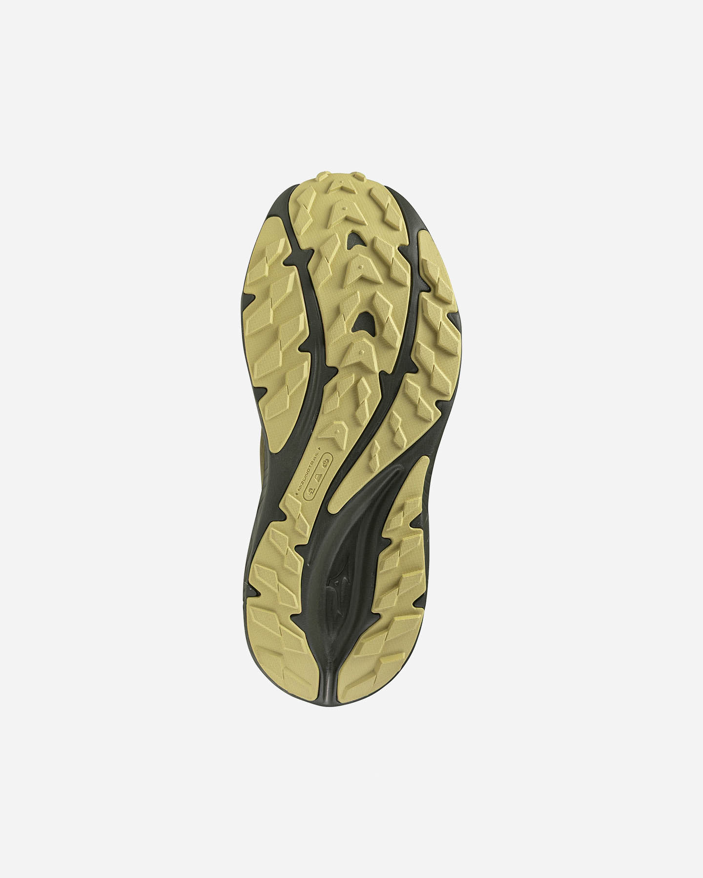 Scarpe running MIZUNO NEO LUMINA GTX W - 2 | Cisalfa Sport