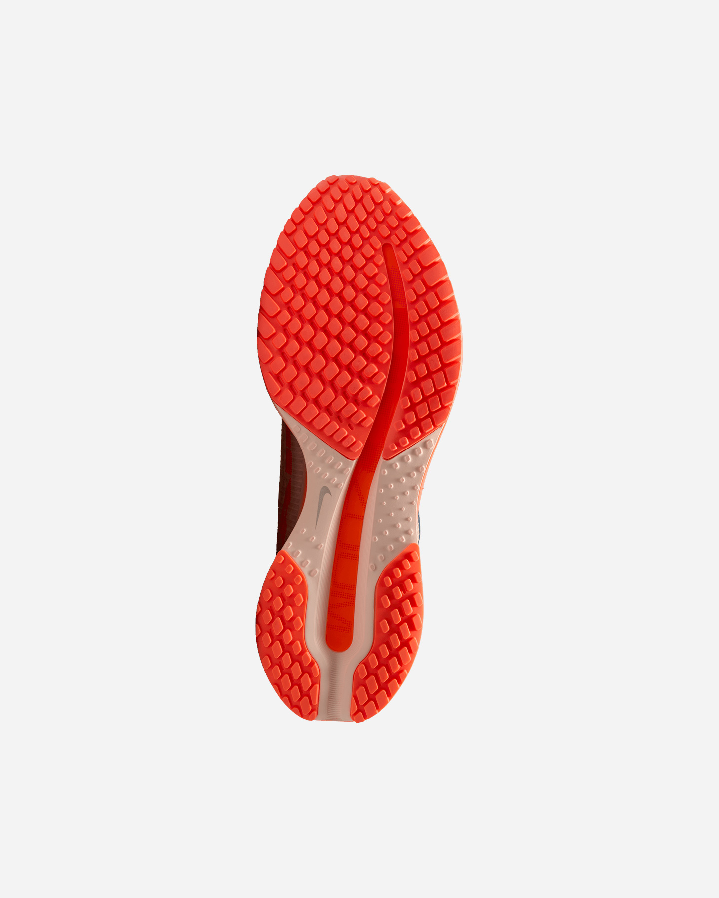 Scarpe running NIKE PEGASUS PREMIUM M - Color mix - 2 | Cisalfa Sport