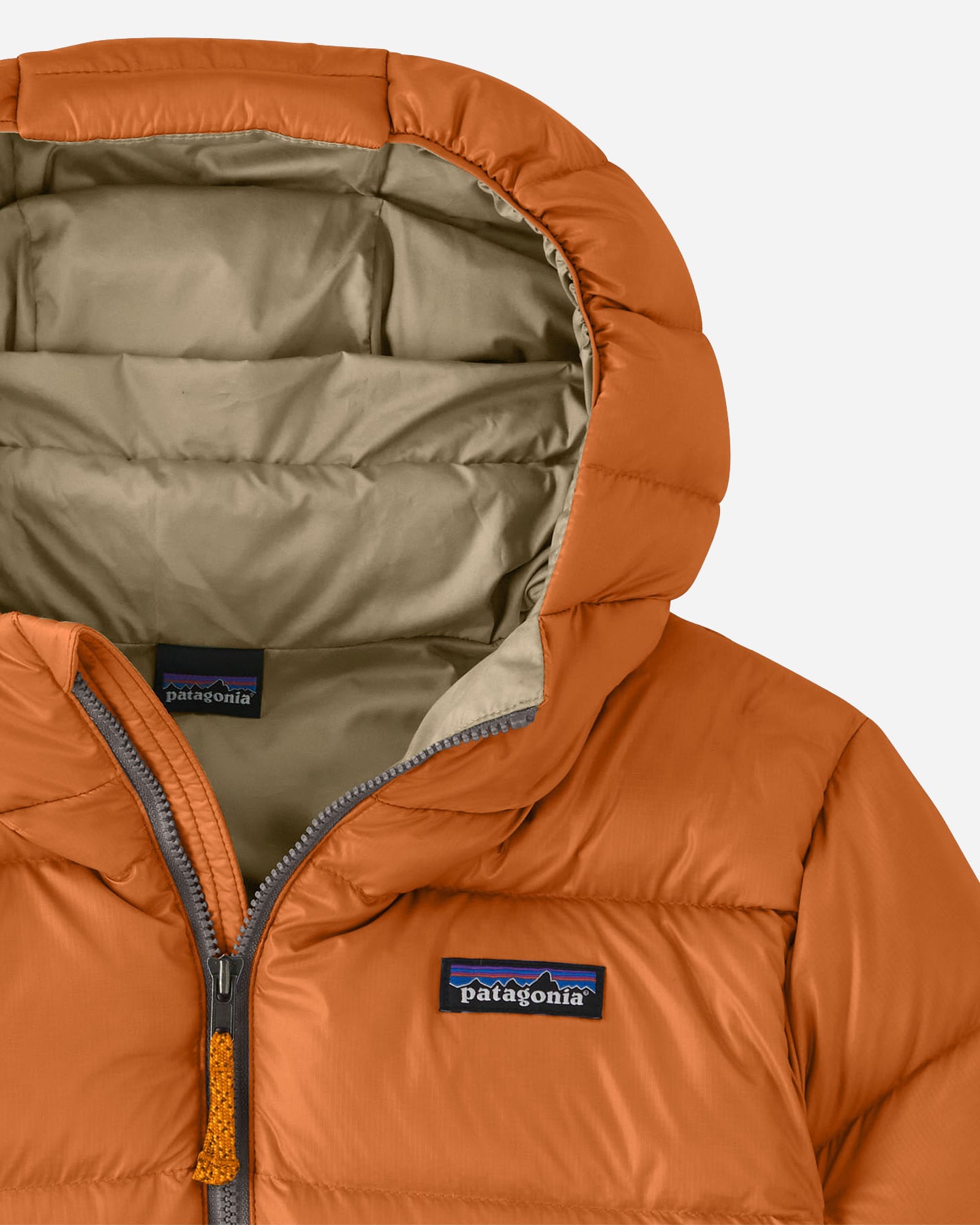 Piumino PATAGONIA HI-LOFT DOWN SWEATER JR - 4 | Cisalfa Sport
