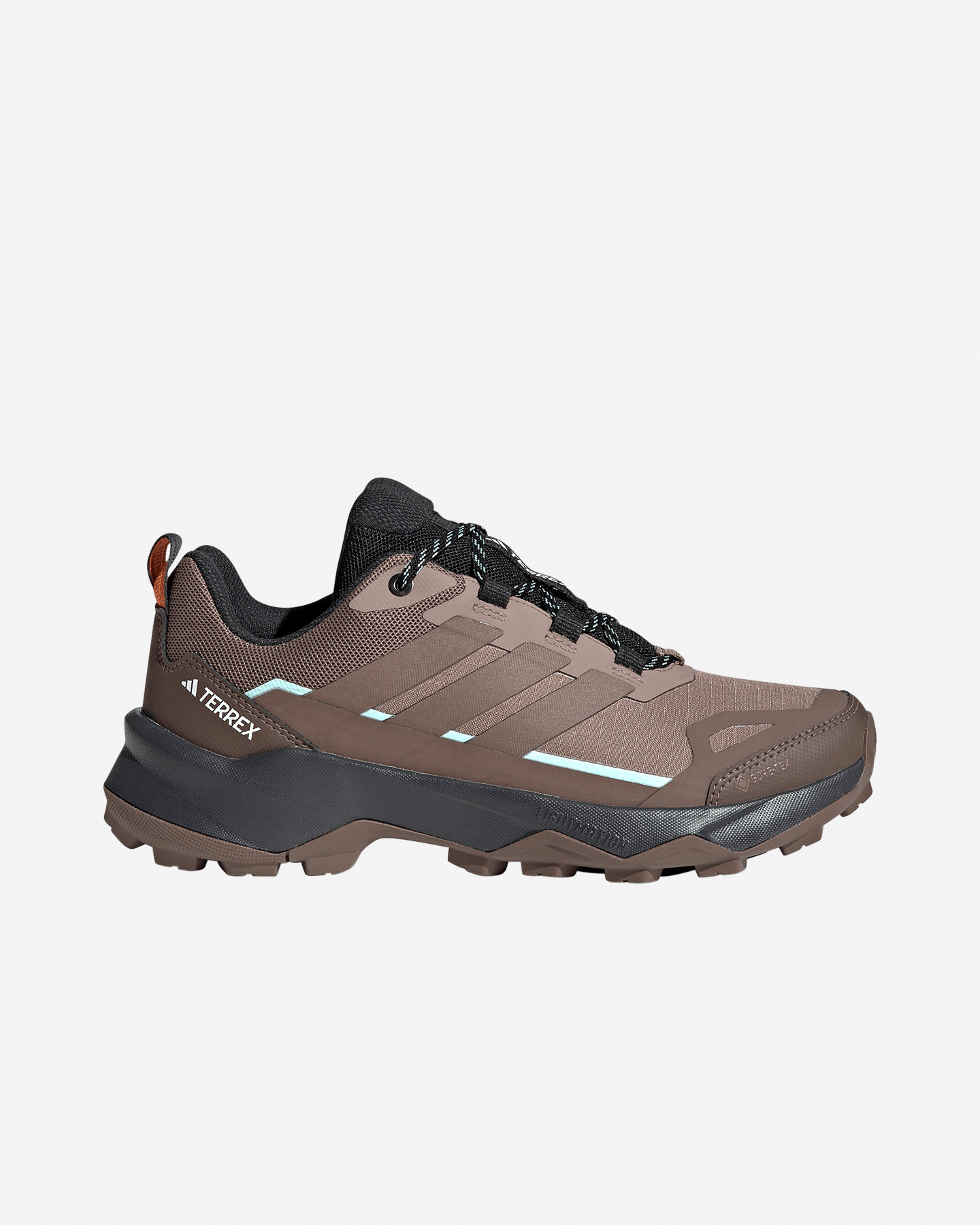 TERREX SKYCHASER AX5 LOW GTX W