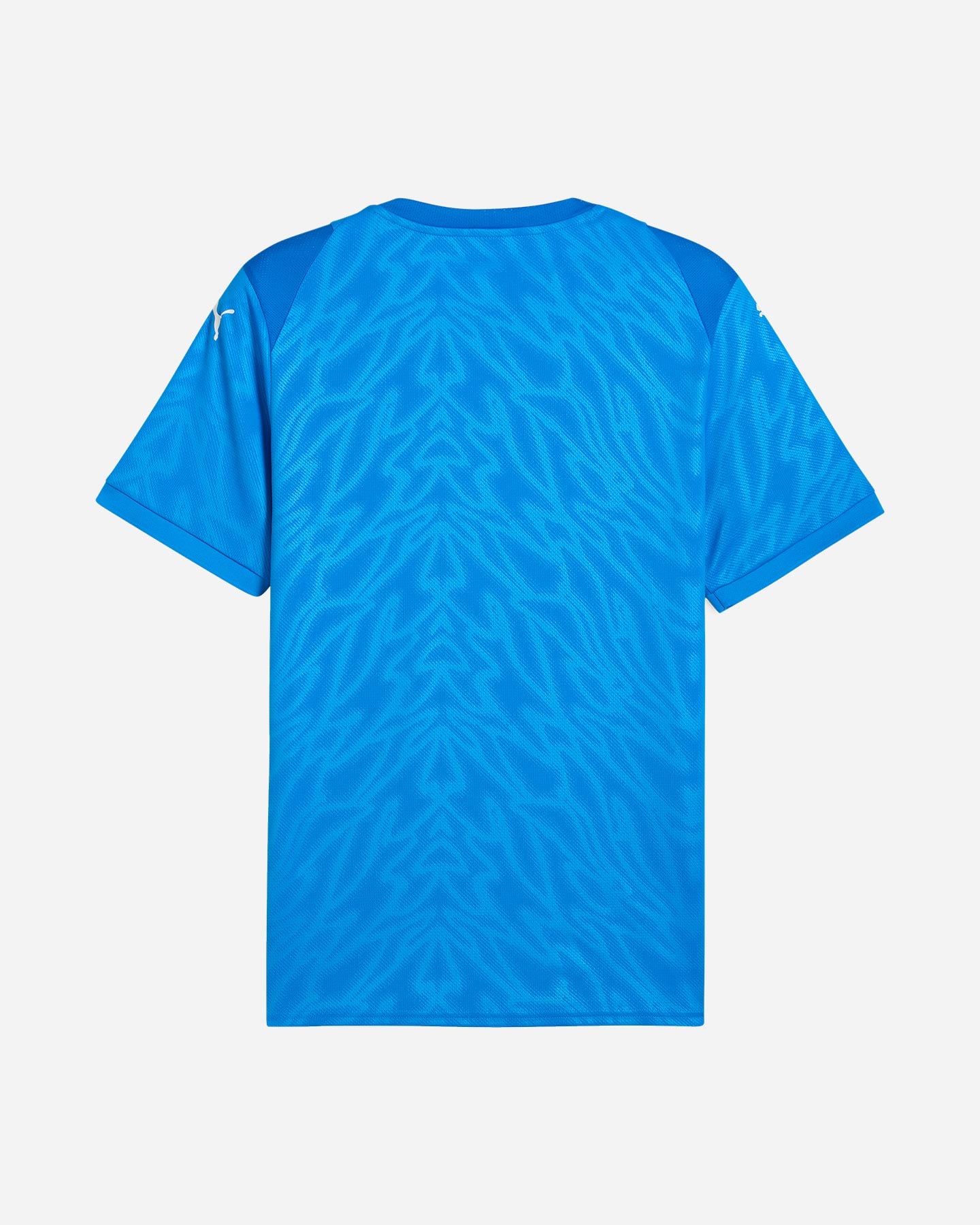 Maglia calcio PUMA TEAMCUP M - Blu royal - 1 | Cisalfa Sport