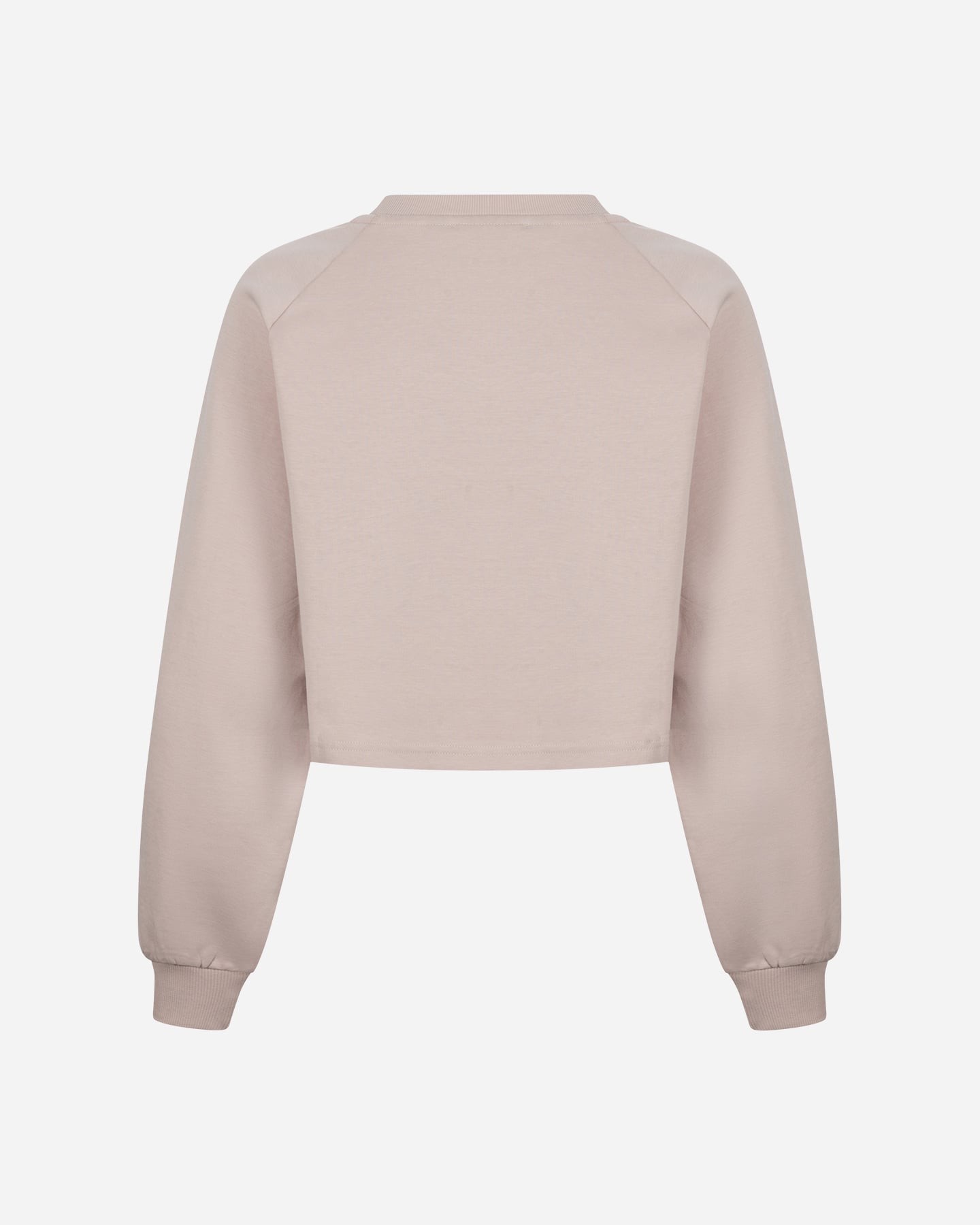 Felpa ABC NEW BASIC W - Rosa - 1 | Cisalfa Sport