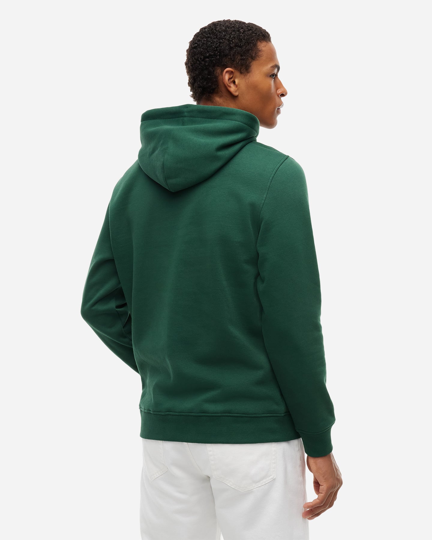 Felpa TOMMY HILFIGER LINEAR LOGO FLEECE M - Verde - 2 | Cisalfa Sport